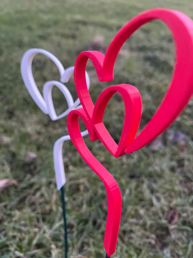 Rote und weiße Doppelherzen als Blumenstecker im Gras